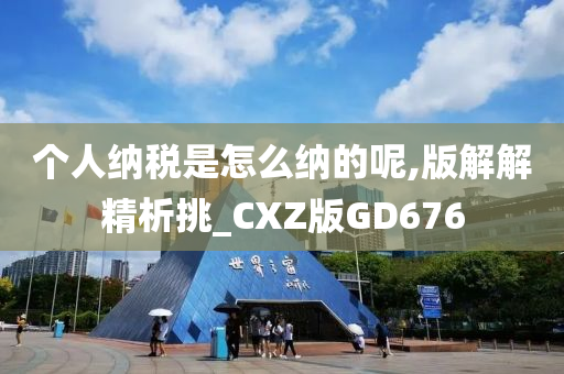 个人纳税是怎么纳的呢,版解解精析挑_CXZ版GD676