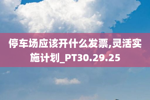 停车场应该开什么发票,灵活实施计划_PT30.29.25