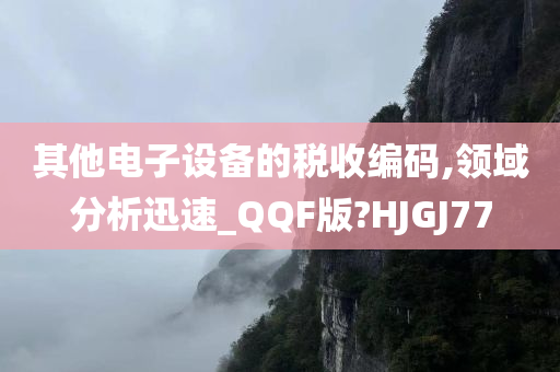 其他电子设备的税收编码,领域分析迅速_QQF版?HJGJ77