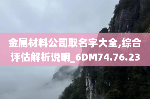 金属材料公司取名字大全,综合评估解析说明_6DM74.76.23