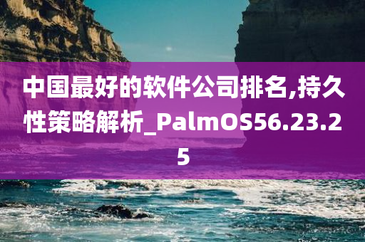 中国最好的软件公司排名,持久性策略解析_PalmOS56.23.25