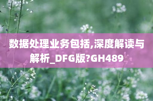 数据处理业务包括,深度解读与解析_DFG版?GH489