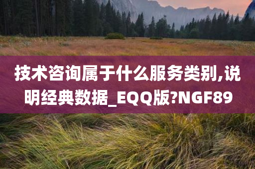 技术咨询属于什么服务类别,说明经典数据_EQQ版?NGF89