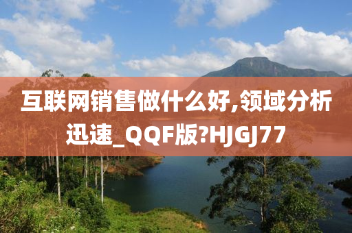 互联网销售做什么好,领域分析迅速_QQF版?HJGJ77