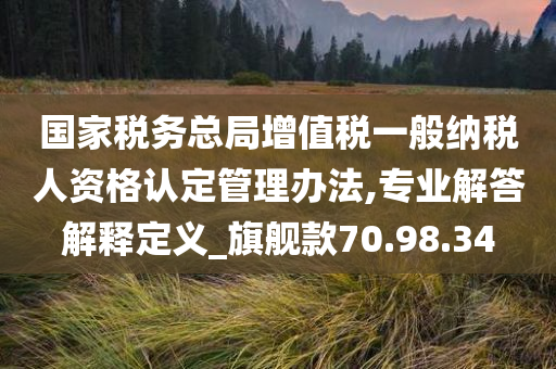 国家税务总局增值税一般纳税人资格认定管理办法,专业解答解释定义_旗舰款70.98.34