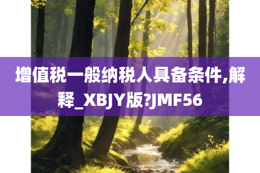 增值税一般纳税人具备条件,解释_XBJY版?JMF56