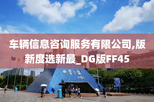 车辆信息咨询服务有限公司,版新度选新最_DG版FF45