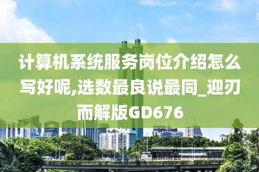 计算机系统服务岗位介绍怎么写好呢,选数最良说最同_迎刃而解版GD676