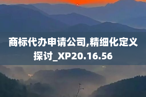 商标代办申请公司,精细化定义探讨_XP20.16.56