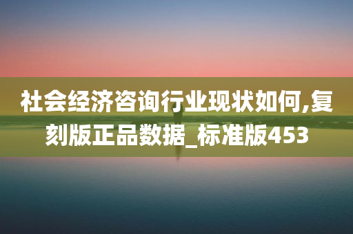 社会经济咨询行业现状如何,复刻版正品数据_标准版453