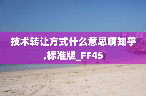 技术转让方式什么意思啊知乎,标准版_FF45