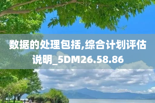 数据的处理包括,综合计划评估说明_5DM26.58.86