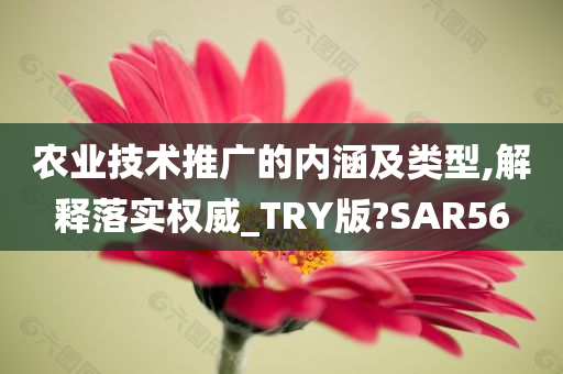 农业技术推广的内涵及类型,解释落实权威_TRY版?SAR56