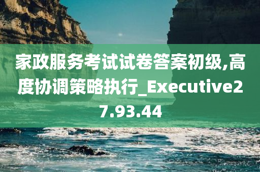 家政服务考试试卷答案初级,高度协调策略执行_Executive27.93.44