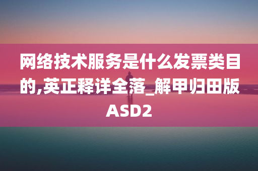 网络技术服务是什么发票类目的,英正释详全落_解甲归田版ASD2