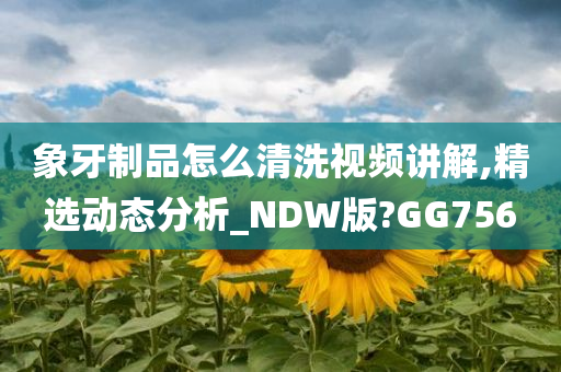 象牙制品怎么清洗视频讲解,精选动态分析_NDW版?GG756