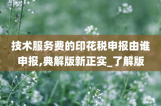 技术服务费的印花税申报由谁申报,典解版新正实_了解版