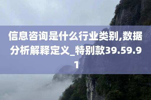 信息咨询是什么行业类别,数据分析解释定义_特别款39.59.91