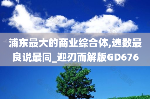 浦东最大的商业综合体,选数最良说最同_迎刃而解版GD676