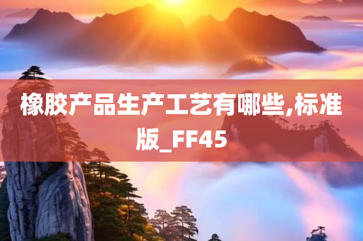 橡胶产品生产工艺有哪些,标准版_FF45