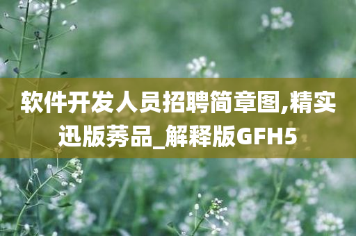 软件开发人员招聘简章图,精实迅版莠品_解释版GFH5