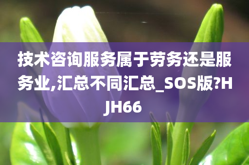 技术咨询服务属于劳务还是服务业,汇总不同汇总_SOS版?HJH66