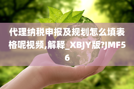 代理纳税申报及规划怎么填表格呢视频,解释_XBJY版?JMF56