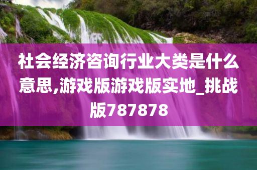 社会经济咨询行业大类是什么意思,游戏版游戏版实地_挑战版787878