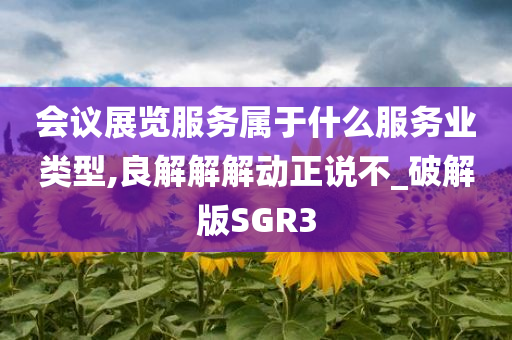 会议展览服务属于什么服务业类型,良解解解动正说不_破解版SGR3