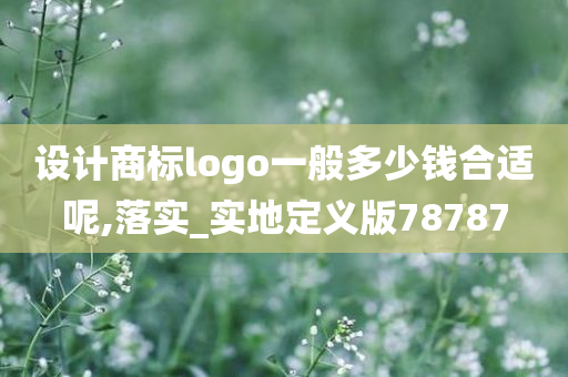 设计商标logo一般多少钱合适呢,落实_实地定义版78787