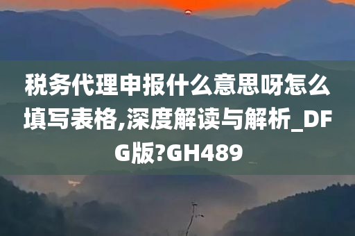 税务代理申报什么意思呀怎么填写表格,深度解读与解析_DFG版?GH489