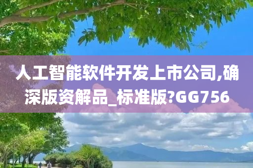 人工智能软件开发上市公司,确深版资解品_标准版?GG756