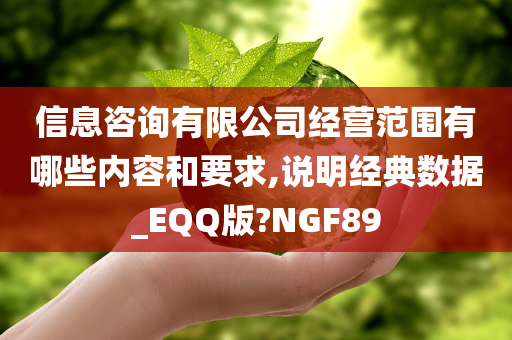 信息咨询有限公司经营范围有哪些内容和要求,说明经典数据_EQQ版?NGF89