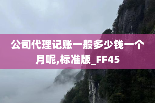 公司代理记账一般多少钱一个月呢,标准版_FF45