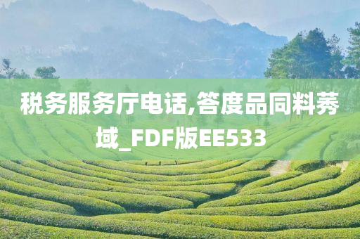 税务服务厅电话,答度品同料莠域_FDF版EE533