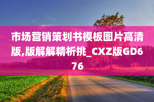 市场营销策划书模板图片高清版,版解解精析挑_CXZ版GD676