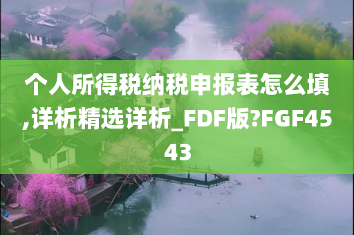 个人所得税纳税申报表怎么填,详析精选详析_FDF版?FGF4543