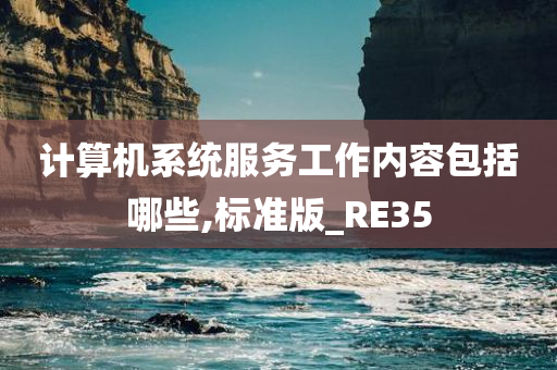 计算机系统服务工作内容包括哪些,标准版_RE35