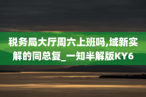 税务局大厅周六上班吗,域新实解的同总复_一知半解版KY6