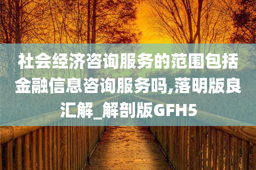 社会经济咨询服务的范围包括金融信息咨询服务吗,落明版良汇解_解剖版GFH5