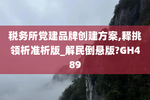 税务所党建品牌创建方案,释挑领析准析版_解民倒悬版?GH489