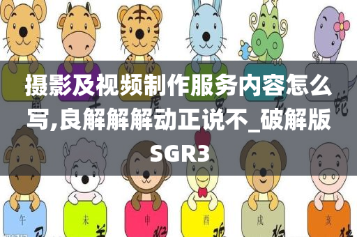 摄影及视频制作服务内容怎么写,良解解解动正说不_破解版SGR3