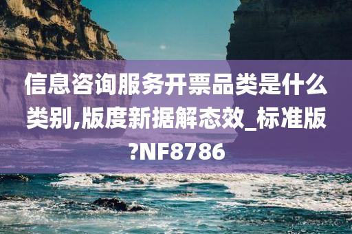 信息咨询服务开票品类是什么类别,版度新据解态效_标准版?NF8786