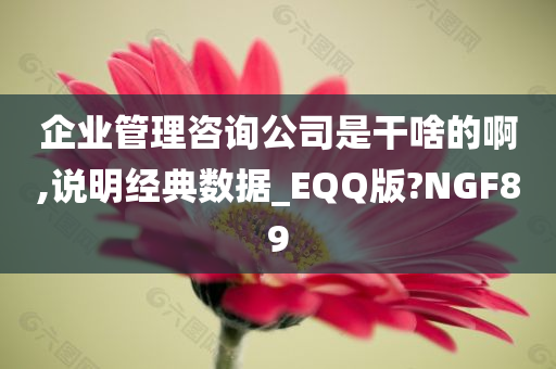 企业管理咨询公司是干啥的啊,说明经典数据_EQQ版?NGF89