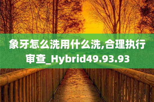 象牙怎么洗用什么洗,合理执行审查_Hybrid49.93.93