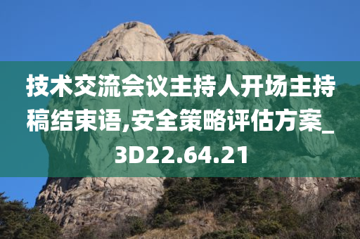 技术交流会议主持人开场主持稿结束语,安全策略评估方案_3D22.64.21