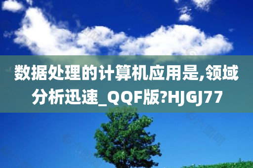 数据处理的计算机应用是,领域分析迅速_QQF版?HJGJ77