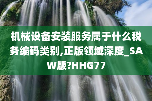 机械设备安装服务属于什么税务编码类别,正版领域深度_SAW版?HHG77