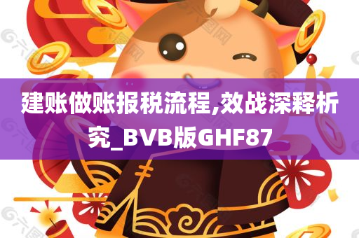 建账做账报税流程,效战深释析究_BVB版GHF87