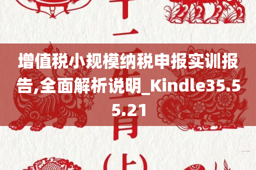 增值税小规模纳税申报实训报告,全面解析说明_Kindle35.55.21